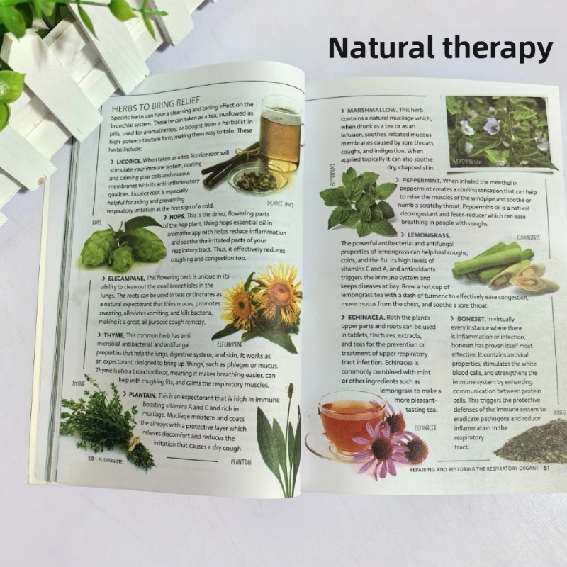 Sustain Me Barbara O'Neill Buk - Health Wellness Lifestyle ulasan dan harga